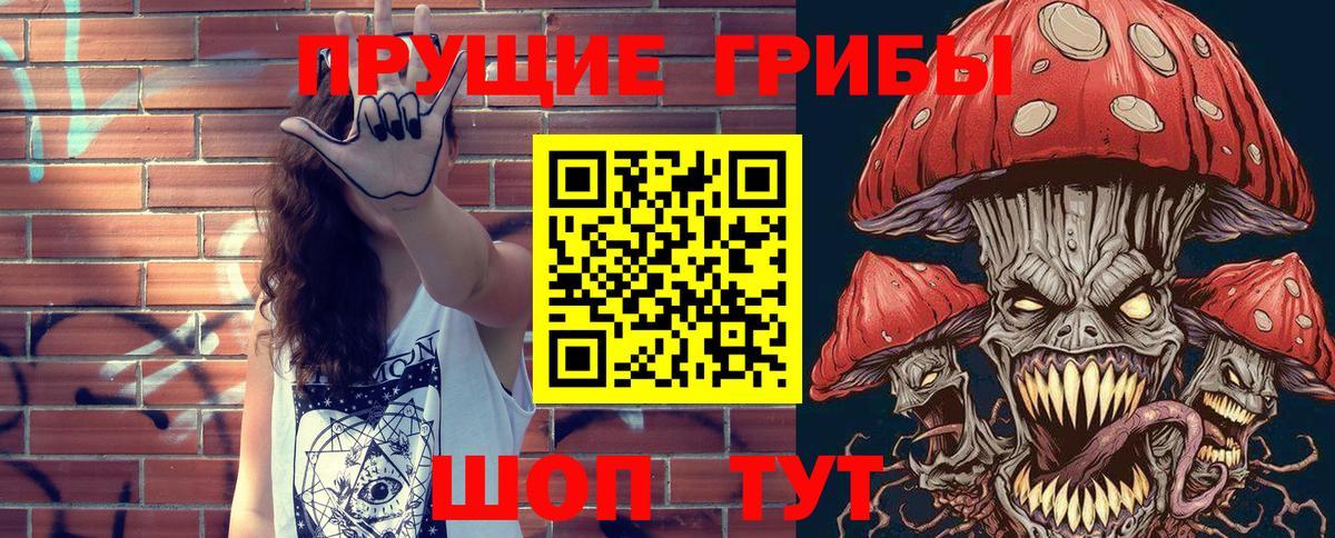 Галлюциногенные грибы Psilocybine cubensis Малгобек